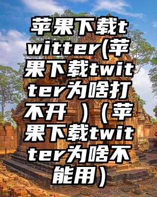 苹果下载twitter(苹果下载twitter为啥打不开 )（苹果下载twitter为啥不能用）