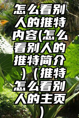 怎么看别人的推特内容(怎么看别人的推特简介 )（推特怎么看别人的主页）