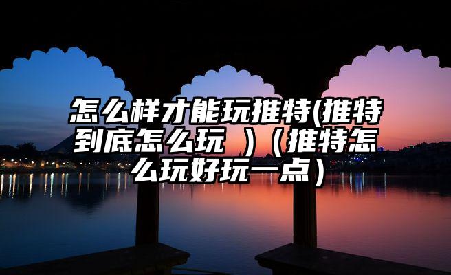 怎么样才能玩推特(推特到底怎么玩 )（推特怎么玩好玩一点）