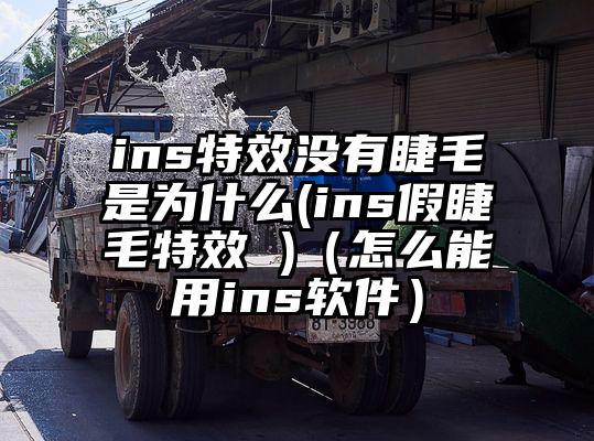ins特效没有睫毛是为什么(ins假睫毛特效 )（怎么能用ins软件）