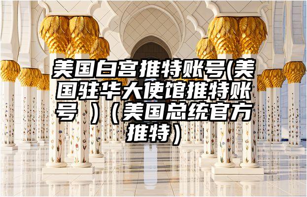 美国白宫推特账号(美国驻华大使馆推特账号 )(美国总统官方推特)