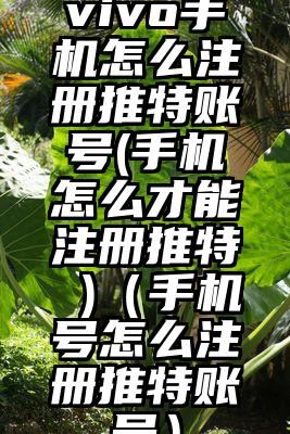vivo手机怎么注册推特账号(手机怎么才能注册推特 )（手机号怎么注册推特账号）