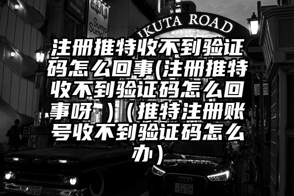 注册推特收不到验证码怎么回事(注册推特收不到验证码怎么回事呀 )(推特注册账号收不到验证码怎么办)