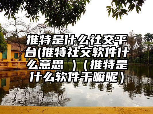推特是什么社交平台(推特社交软件什么意思 )（推特是什么软件干嘛呢）