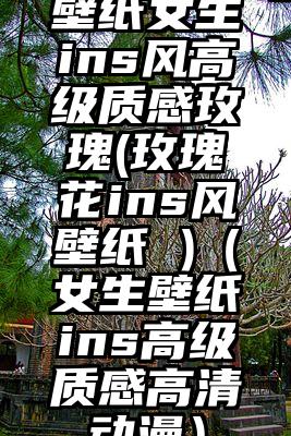 壁纸女生ins风高级质感玫瑰(玫瑰花ins风壁纸 )（女生壁纸ins高级质感高清动漫）
