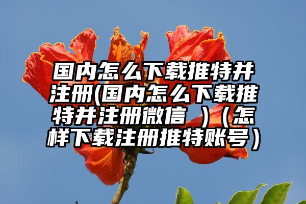 国内怎么下载推特并注册(国内怎么下载推特并注册微信 )（怎样下载注册推特账号）
