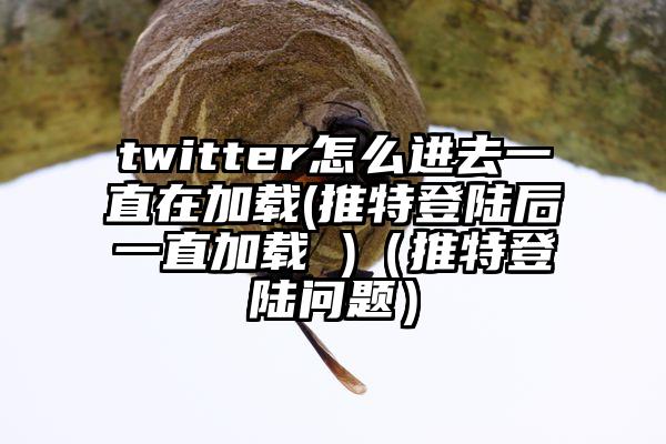 twitter怎么进去一直在加载(推特登陆后一直加载 )（推特登陆问题）