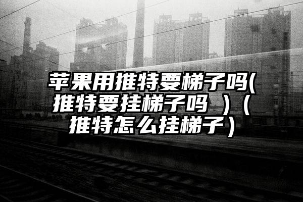 苹果用推特要梯子吗(推特要挂梯子吗 )（推特怎么挂梯子）