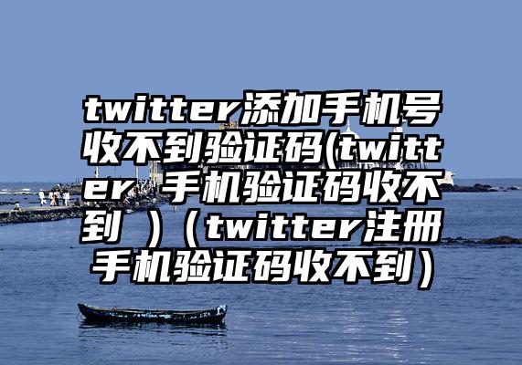 twitter添加手机号收不到验证码(twitter 手机验证码收不到 )（twitter注册手机验证码收不到）