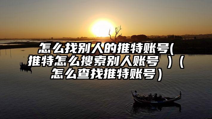 怎么找别人的推特账号(推特怎么搜索别人账号 )（怎么查找推特账号）