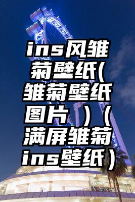 ins风雏菊壁纸(雏菊壁纸图片 )（满屏雏菊ins壁纸）