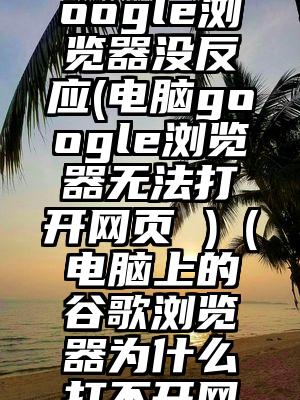 电脑打开google浏览器没反应(电脑google浏览器无法打开网页 )（电脑上的谷歌浏览器为什么打不开网址）