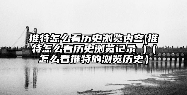 推特怎么看历史浏览内容(推特怎么看历史浏览记录 )(怎么看推特的浏览历史)