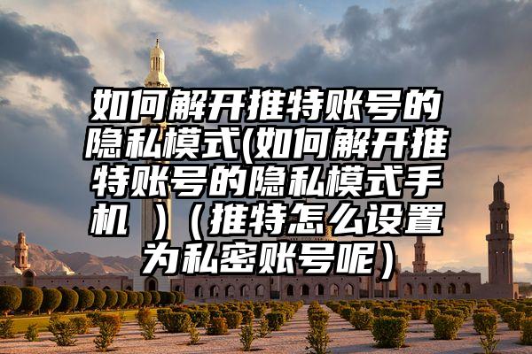 如何解开推特账号的隐私模式(如何解开推特账号的隐私模式手机 )（推特怎么设置为私密账号呢）