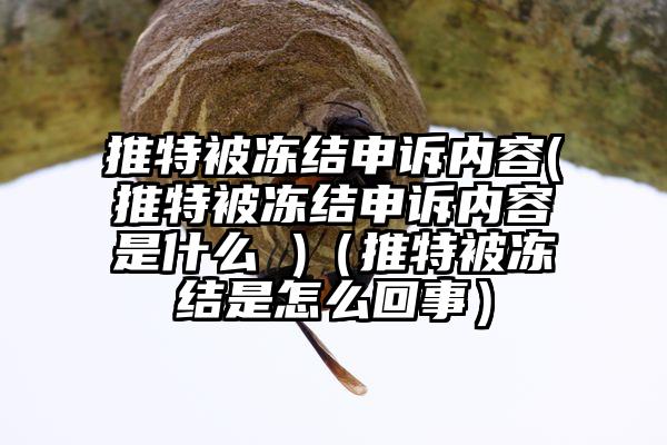 推特被冻结申诉内容(推特被冻结申诉内容是什么 )（推特被冻结是怎么回事）