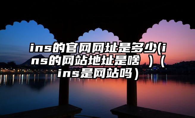 ins的官网网址是多少(ins的网站地址是啥 )(ins是网站吗)