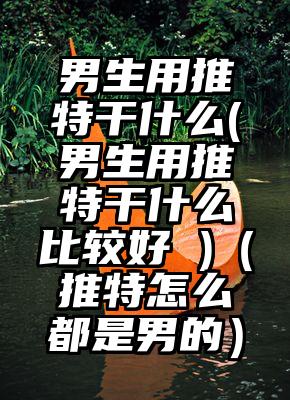 男生用推特干什么(男生用推特干什么比较好 )（推特怎么都是男的）