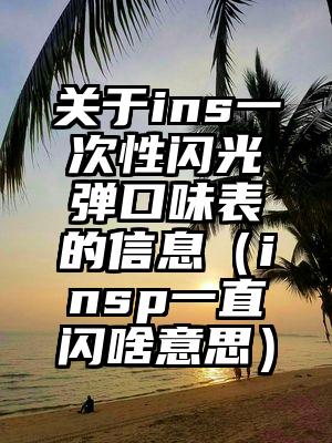 关于ins一次性闪光弹口味表的信息（insp一直闪啥意思）