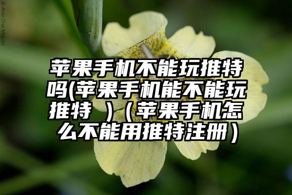 苹果手机不能玩推特吗(苹果手机能不能玩推特 )(苹果手机怎么不能用推特注册)