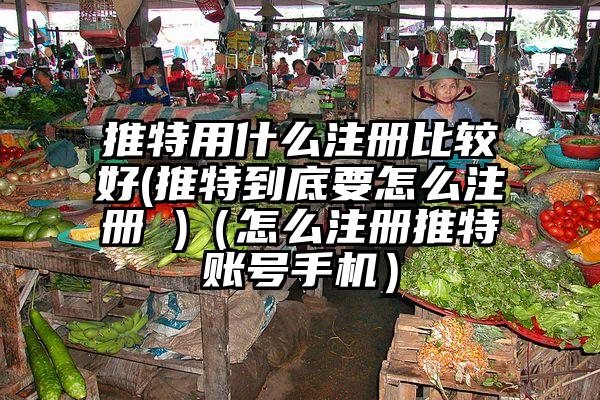 推特用什么注册比较好(推特到底要怎么注册 )（怎么注册推特账号手机）