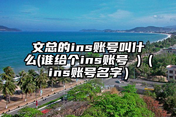 文总的ins账号叫什么(谁给个ins账号 )（ins账号名字）