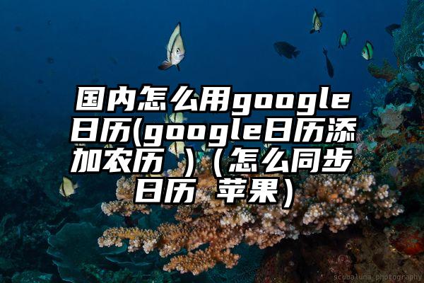 国内怎么用google日历(google日历添加农历 )（怎么同步日历 苹果）
