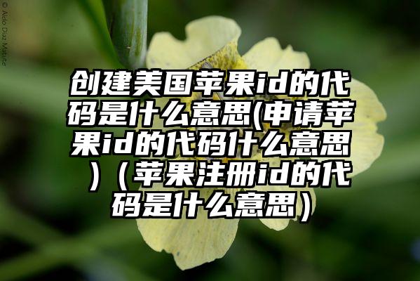 创建美国苹果id的代码是什么意思(申请苹果id的代码什么意思 )（苹果注册id的代码是什么意思）