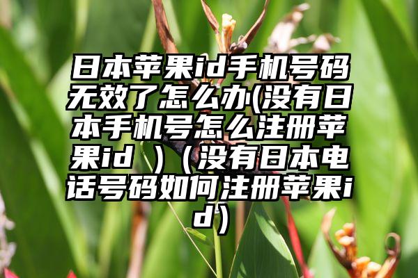 日本苹果id手机号码无效了怎么办(没有日本手机号怎么注册苹果id )(没有日本电话号码如何注册苹果id)