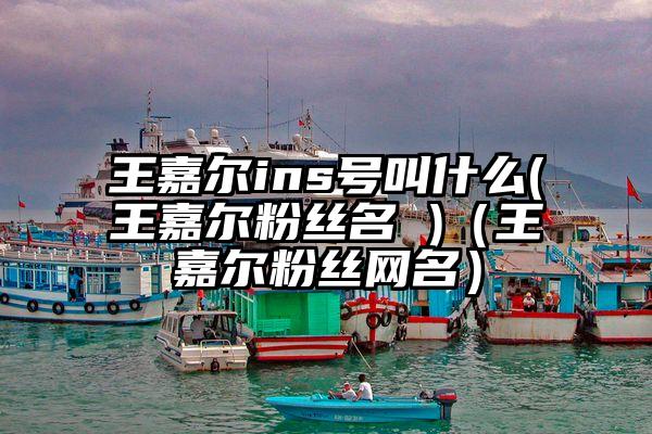 王嘉尔ins号叫什么(王嘉尔粉丝名 )（王嘉尔粉丝网名）
