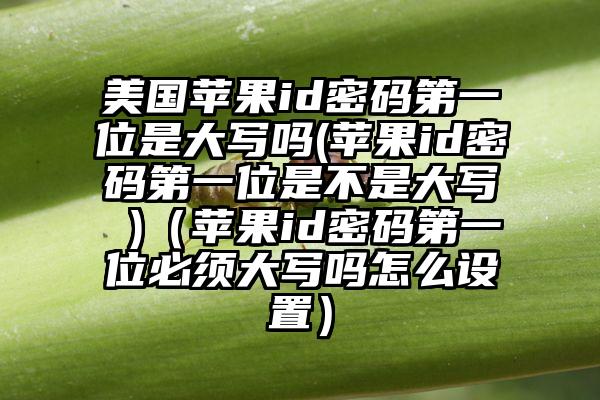美国苹果id密码第一位是大写吗(苹果id密码第一位是不是大写 )(苹果id密码第一位必须大写吗怎么设置)