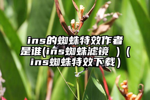 ins的蜘蛛特效作者是谁(ins蜘蛛滤镜 )（ins蜘蛛特效下载）