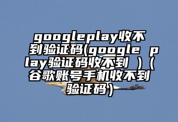 googleplay收不到验证码(google play验证码收不到 )（谷歌账号手机收不到验证码）