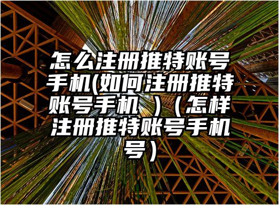 怎么注册推特账号手机(如何注册推特账号手机 )（怎样注册推特账号手机号）
