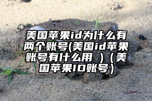 美国苹果id为什么有两个账号(美国id苹果账号有什么用 )（美国苹果ID账号）
