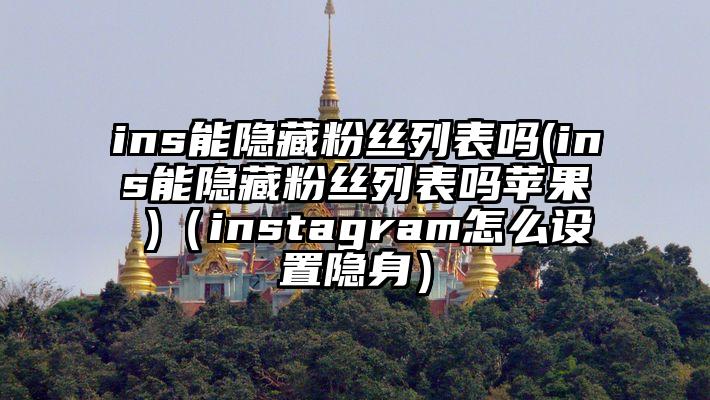ins能隐藏粉丝列表吗(ins能隐藏粉丝列表吗苹果 )（instagram怎么设置隐身）