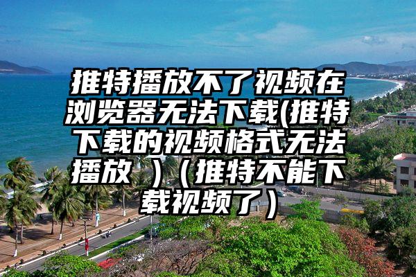 推特播放不了视频在浏览器无法下载(推特下载的视频格式无法播放 )（推特不能下载视频了）