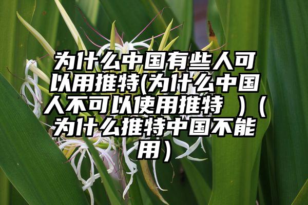 为什么中国有些人可以用推特(为什么中国人不可以使用推特 )（为什么推特中国不能用）