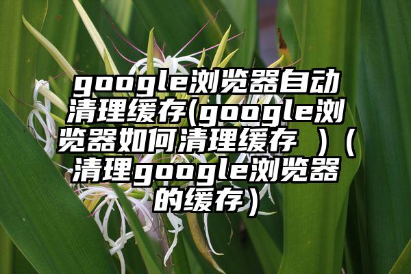 google浏览器自动清理缓存(google浏览器如何清理缓存 )（清理google浏览器的缓存）