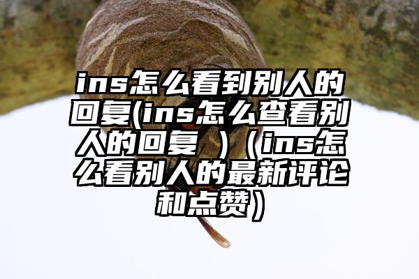 ins怎么看到别人的回复(ins怎么查看别人的回复 )（ins怎么看别人的最新评论和点赞）