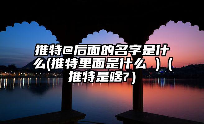 推特@后面的名字是什么(推特里面是什么 )（推特是啥?）