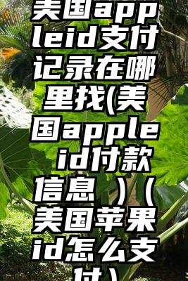 美国appleid支付记录在哪里找(美国apple id付款信息 )（美国苹果id怎么支付）