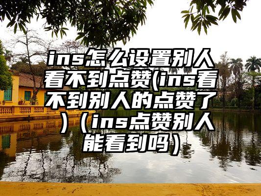 ins怎么设置别人看不到点赞(ins看不到别人的点赞了 )（ins点赞别人能看到吗）