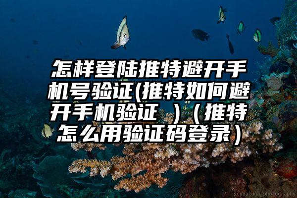 怎样登陆推特避开手机号验证(推特如何避开手机验证 )（推特怎么用验证码登录）