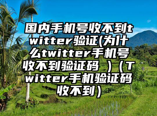 国内手机号收不到twitter验证(为什么twitter手机号收不到验证码 )（Twitter手机验证码收不到）