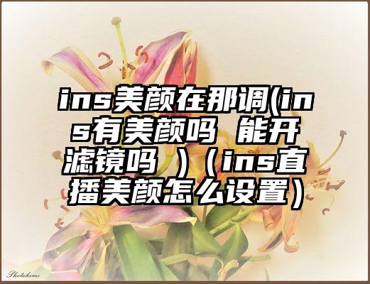 ins美颜在那调(ins有美颜吗 能开滤镜吗 )（ins直播美颜怎么设置）