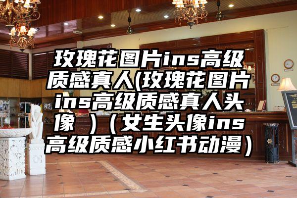 玫瑰花图片ins高级质感真人(玫瑰花图片ins高级质感真人头像 )（女生头像ins高级质感小红书动漫）