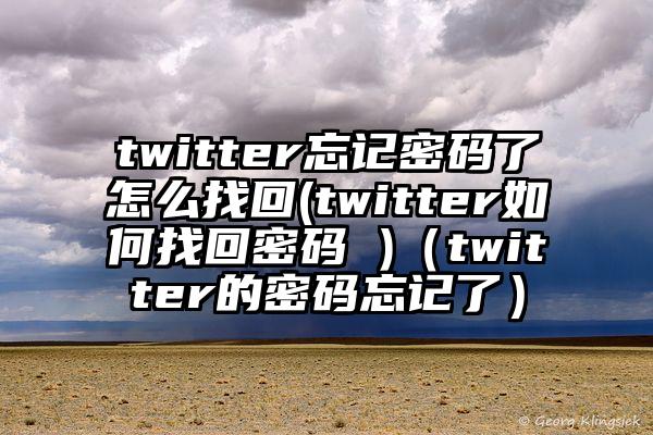 twitter忘记密码了怎么找回(twitter如何找回密码 )（twitter的密码忘记了）