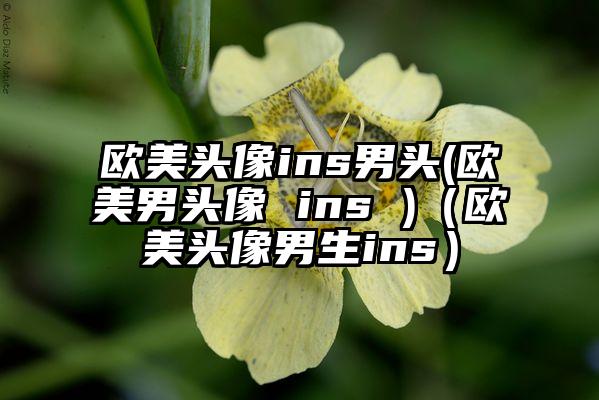 欧美头像ins男头(欧美男头像 ins )（欧美头像男生ins）