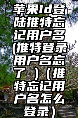 苹果id登陆推特忘记用户名(推特登录用户名忘了 )（推特忘记用户名怎么登录）