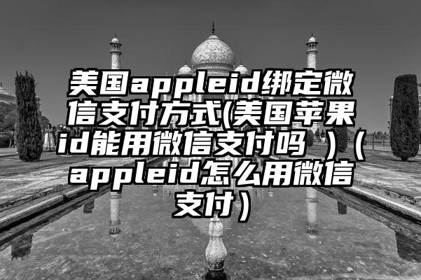 美国appleid绑定微信支付方式(美国苹果id能用微信支付吗 )（appleid怎么用微信支付）